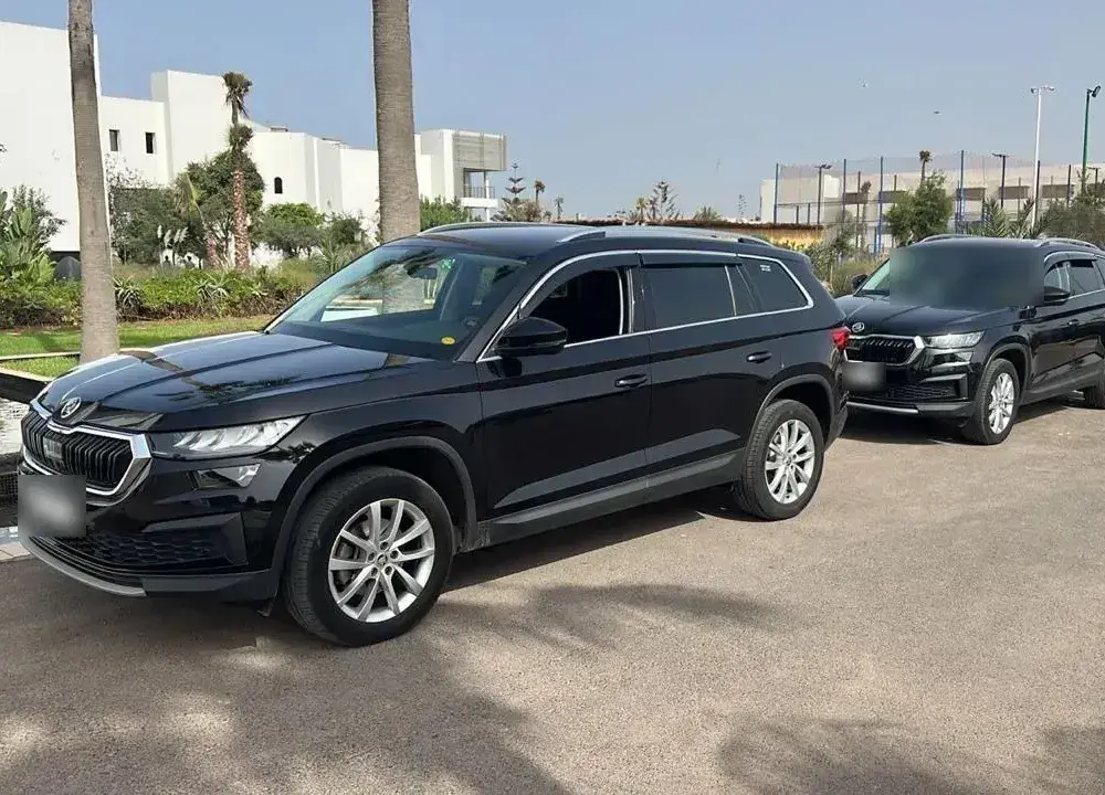 Two black SUVs parked near palm trees, in Morocco